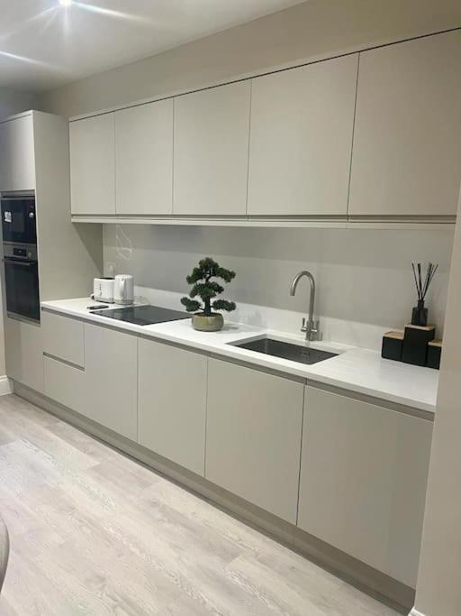 New Flat In Holland Park Διαμέρισμα Λονδίνο Εξωτερικό φωτογραφία